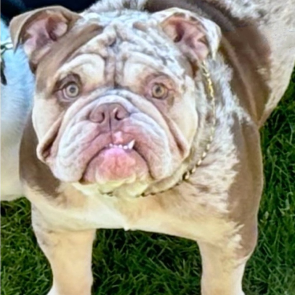 Meet your Posher, Alexis